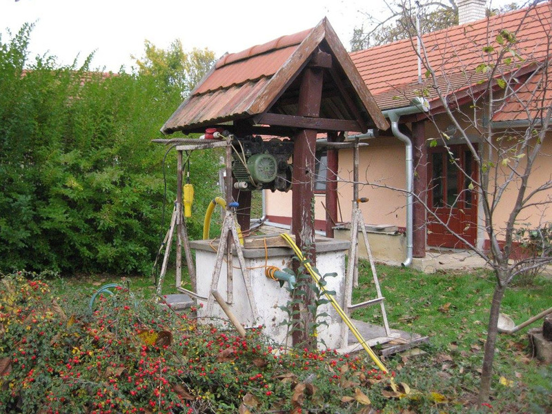 Kúttisztítás
